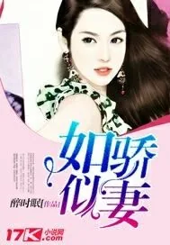 《如骄似妻》小说封面