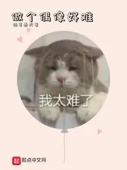 《做个偶像好难》小说封面
