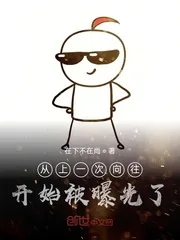 《从上一次向往开始被曝光了》小说封面