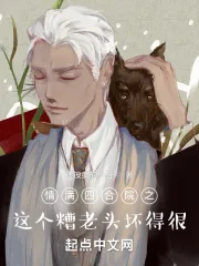 《情满四合院之，这个糟老头坏得很》小说封面