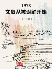 《1978：文豪从被误解开始》小说封面
