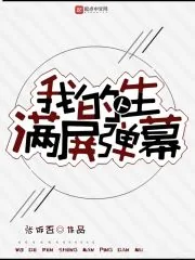 《我的人生满屏弹幕》小说封面