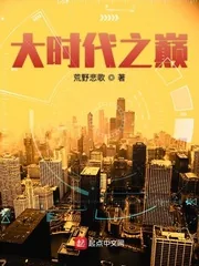 《大时代之巅》小说封面