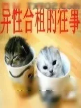 《异性合租的往事》小说封面
