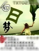 《白日梦》小说封面