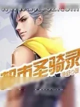 《都市圣骑录》小说封面