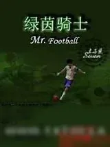 《绿茵骑士》小说封面