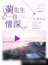 《蔺先生，一往情深》小说封面