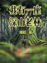 《我有一座深山老林》小说封面