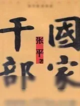 《国家干部》小说封面