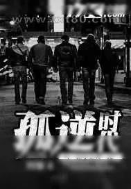 《孤逆时代》小说封面