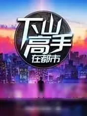 《下山高手在都市》小说封面