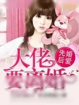 《婚婚来迟，大佬要离婚》小说封面