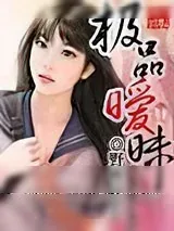 《极品暧昧》小说封面