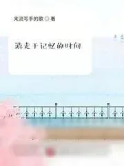 《游走于记忆的时间》小说封面
