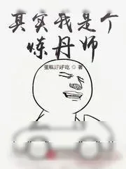 《其实我是个炼丹师》小说封面