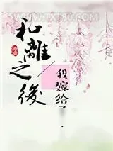 《和离之后》小说封面
