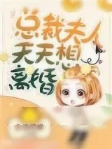 《总裁夫人天天想离婚》小说封面