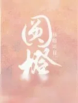 《圆橙》小说封面