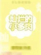 《灿烂的小多肉》小说封面