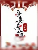 《吾妻甚萌》小说封面