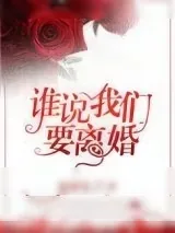 《谁说我们要离婚》小说封面
