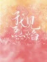《我见烈焰》小说封面