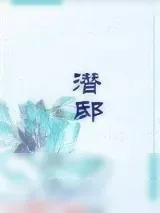《潜邸》小说封面