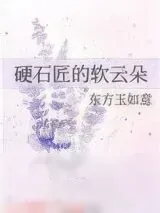 《硬石匠的软云朵》小说封面