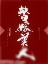 《替嫁美人》小说封面