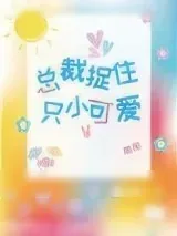 《总裁捉住只小可爱》小说封面