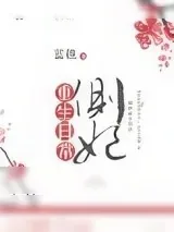 《侧妃重生日常》小说封面