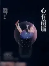 《心有南墙》小说封面