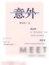 《意外》小说封面