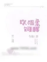 《以温柔饲我》小说封面