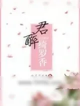 《倾城小佳人/君醉绮罗香》小说封面