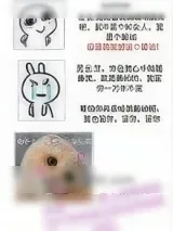《没人比她更撩汉[快穿]》小说封面