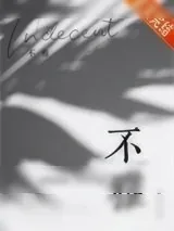 《不雅》小说封面