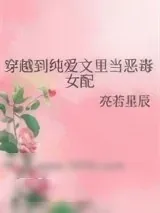《穿越到纯爱文里当恶毒女配》小说封面