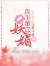 《天下第五妖媚》小说封面