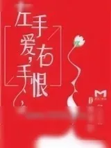 《左手爱，右手恨》小说封面