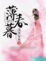 《薄春暮》小说封面
