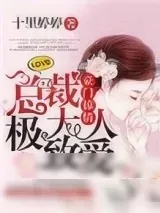 《豪门掠情：总裁大人极致爱》小说封面