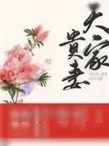 《天家贵妻》小说封面