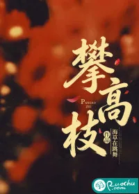 《攀高枝》小说封面