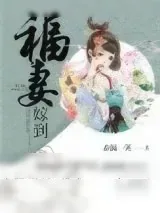 《福妻嫁到》小说封面