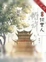 《惟许侯夫人》小说封面