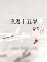 《重返十五岁》小说封面