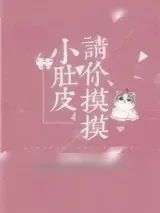 《请你摸摸小肚皮》小说封面