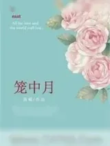 《笼中月》小说封面